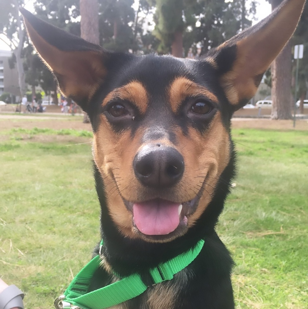 Meet your Posher, June